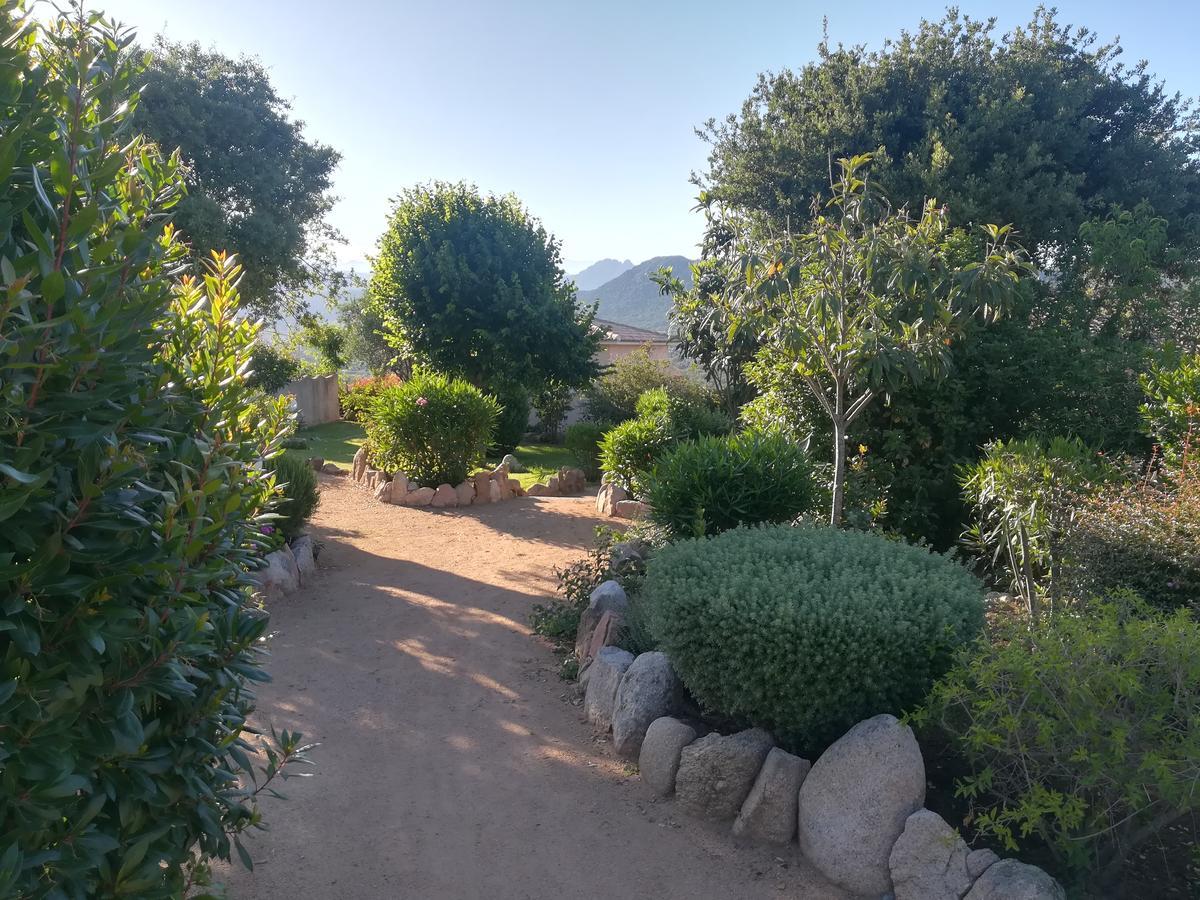 Residence Marina Di A Testa Sainte-Lucie de Porto-Vecchio Eksteriør bilde