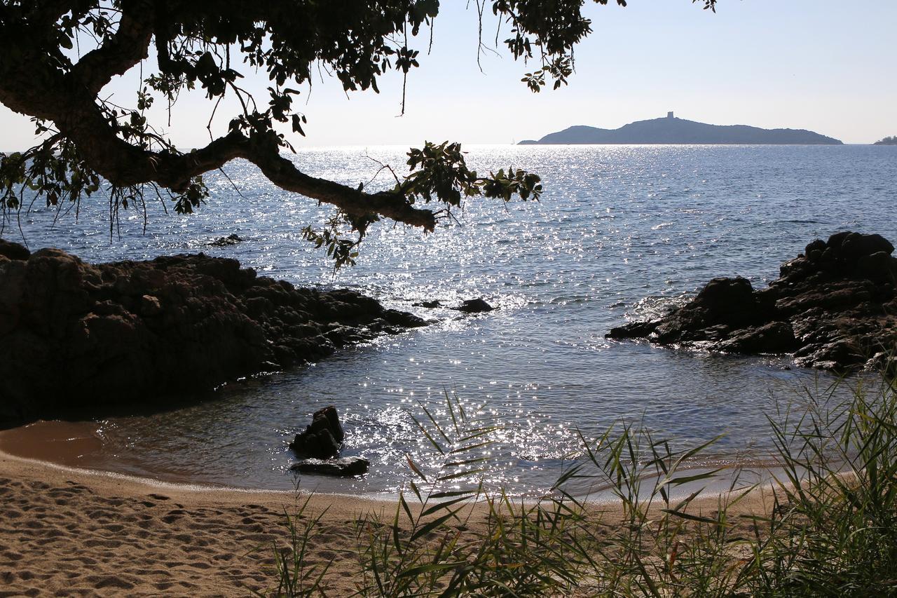 Residence Marina Di A Testa Sainte-Lucie de Porto-Vecchio Eksteriør bilde